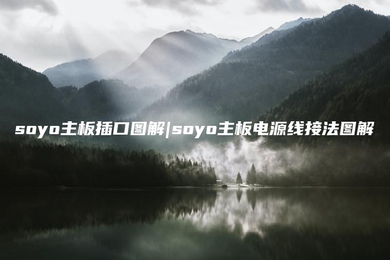 soyo主板插口图解|soyo主板电源线接法图解