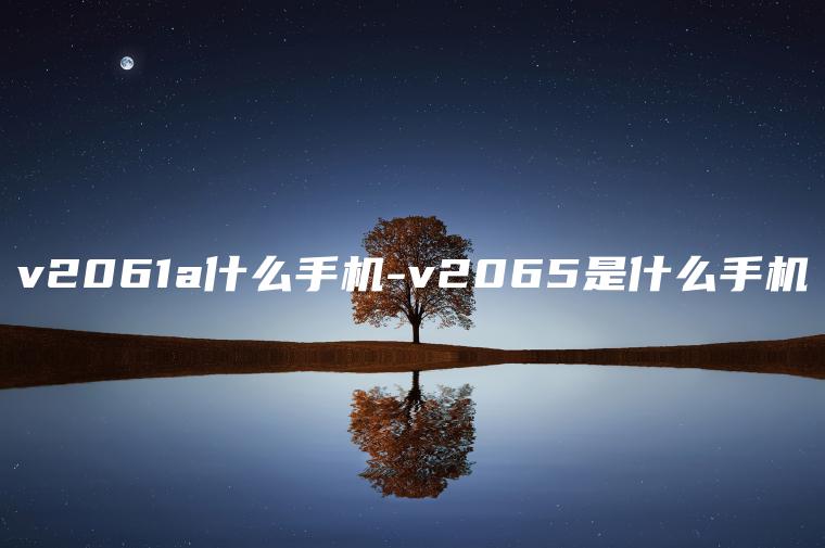 v2061a什么手机-v2065是什么手机