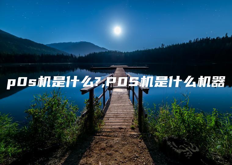 p0s机是什么?,P0S机是什么机器