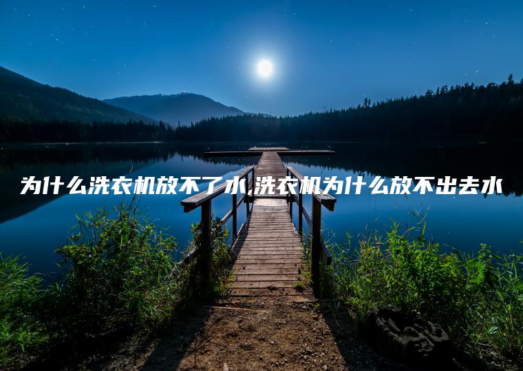 为什么洗衣机放不了水,洗衣机为什么放不出去水