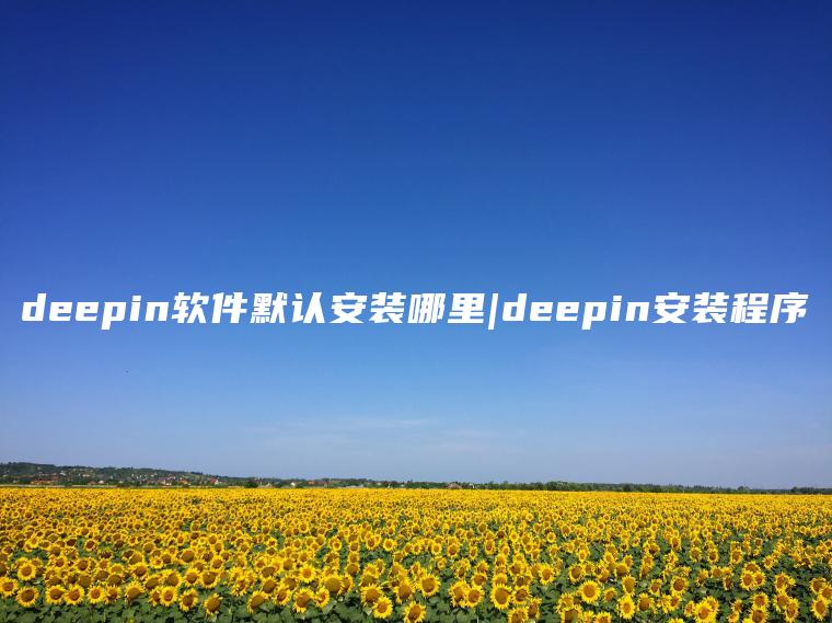 deepin软件默认安装哪里|deepin安装程序