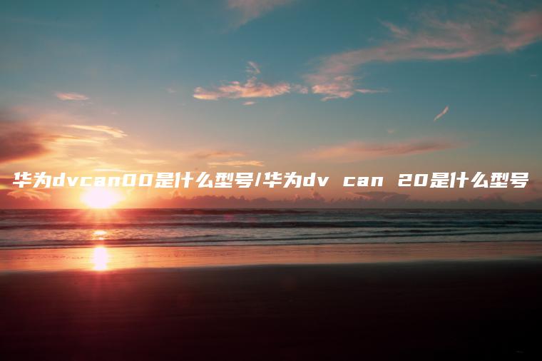 华为dvcan00是什么型号/华为dv can 20是什么型号