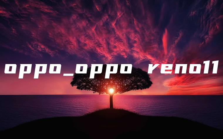 oppo_oppo reno11