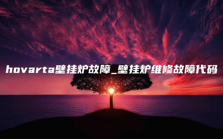 hovarta壁挂炉故障_壁挂炉维修故障代码