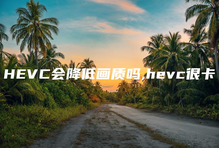 HEVC会降低画质吗,hevc很卡