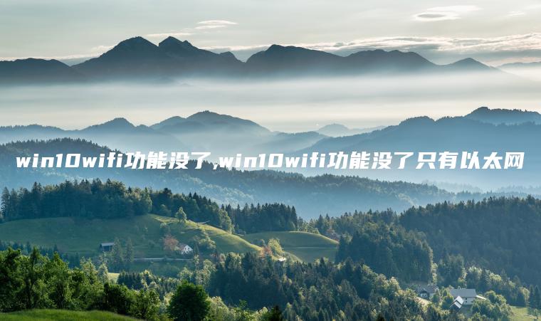 win10wifi功能没了,win10wifi功能没了只有以太网