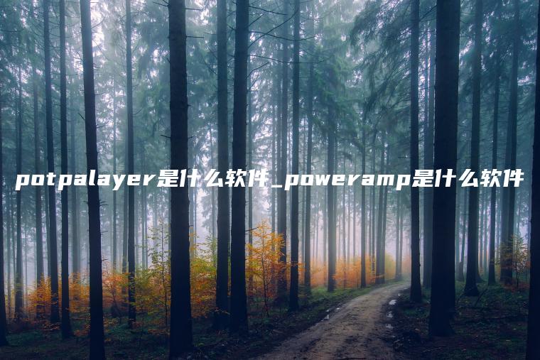 potpalayer是什么软件_poweramp是什么软件