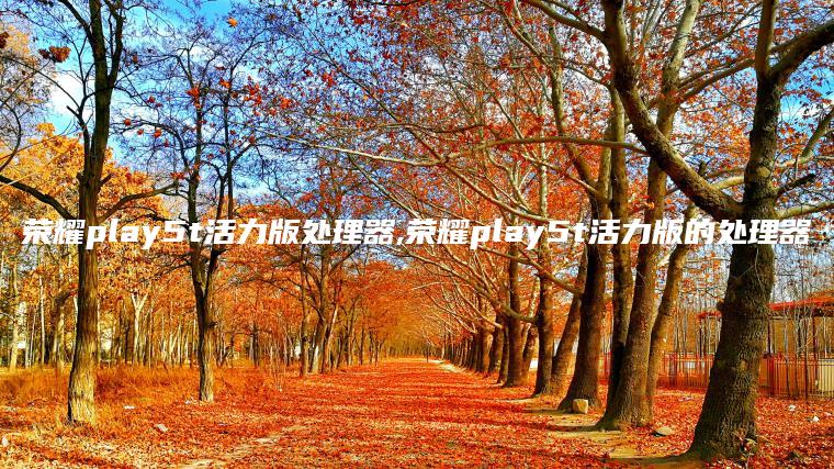 荣耀play5t活力版处理器,荣耀play5t活力版的处理器