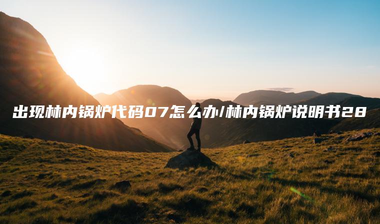 出现林内锅炉代码07怎么办/林内锅炉说明书28