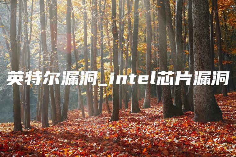 英特尔漏洞_intel芯片漏洞