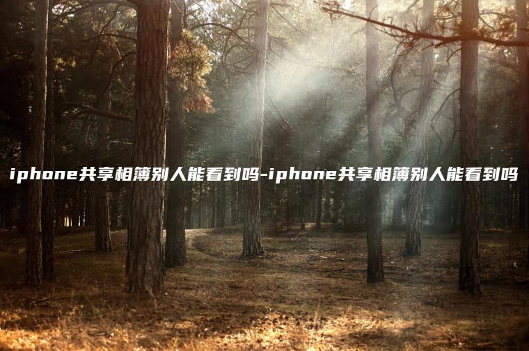 iphone共享相簿别人能看到吗-iphone共享相簿别人能看到吗