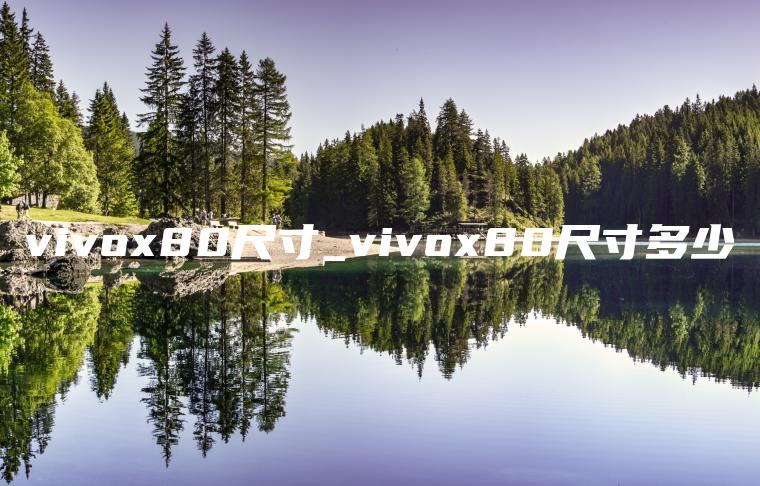 vivox80尺寸_vivox80尺寸多少