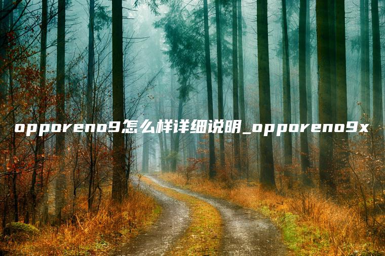 opporeno9怎么样详细说明_opporeno9x