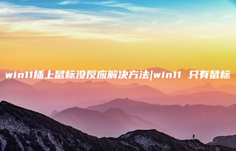 win11插上鼠标没反应解决方法|win11 只有鼠标