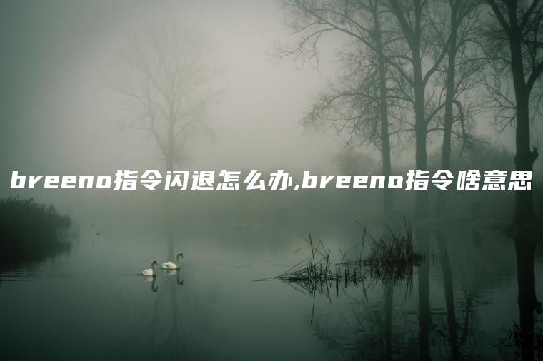 breeno指令闪退怎么办,breeno指令啥意思