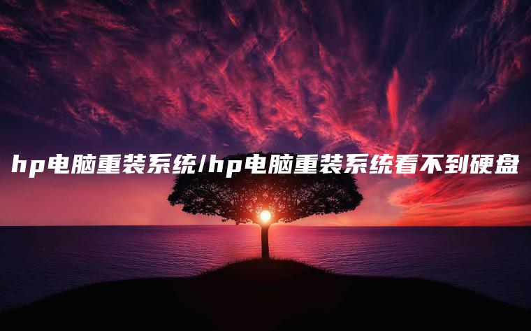 hp电脑重装系统/hp电脑重装系统看不到硬盘