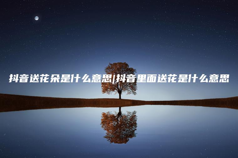 抖音送花朵是什么意思|抖音里面送花是什么意思