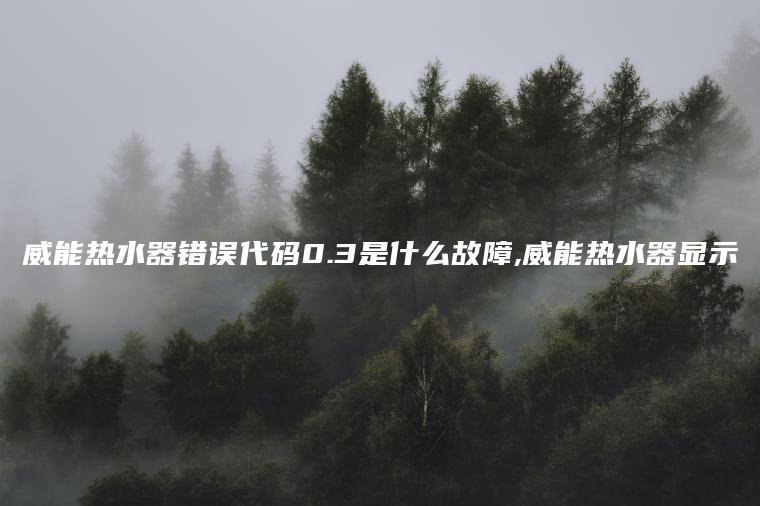 威能热水器错误代码0.3是什么故障,威能热水器显示