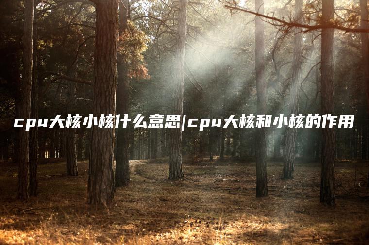 cpu大核小核什么意思|cpu大核和小核的作用