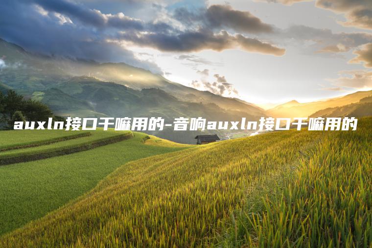 auxln接口干嘛用的-音响auxln接口干嘛用的