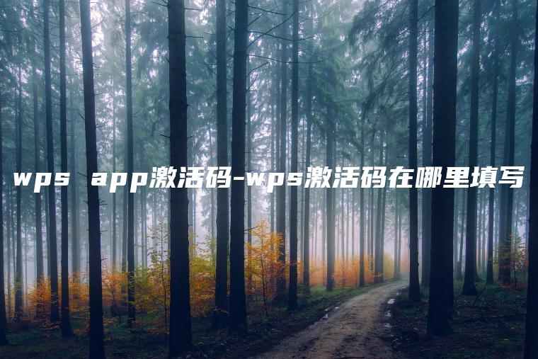 wps app激活码-wps激活码在哪里填写
