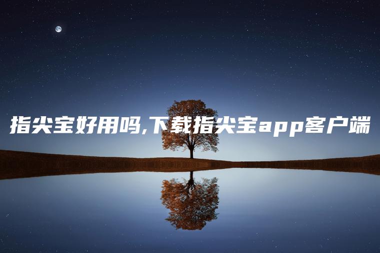 指尖宝好用吗,下载指尖宝app客户端