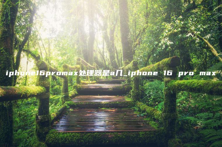 iphone16promax处理器是a几_iphone 16 pro max