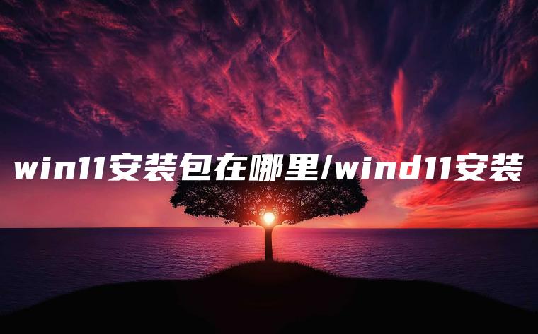 win11安装包在哪里/wind11安装