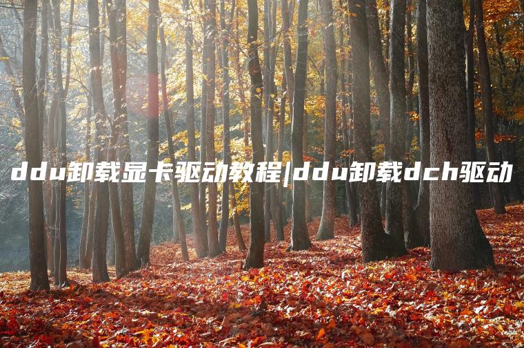 ddu卸载显卡驱动教程|ddu卸载dch驱动